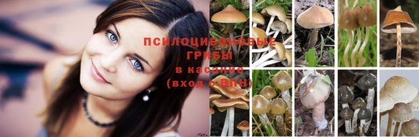 прущая мука Алексеевка