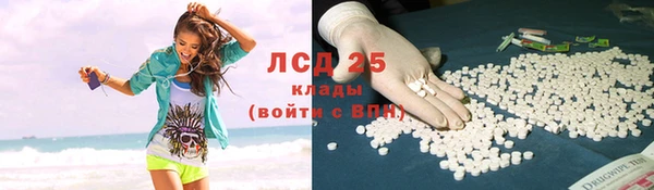 ECSTASY Алзамай
