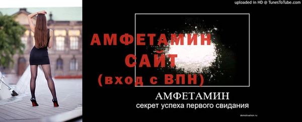 ECSTASY Алзамай