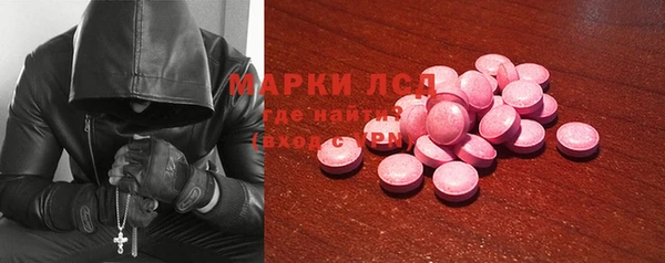 ECSTASY Алзамай