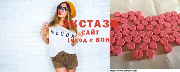 ECSTASY Алзамай
